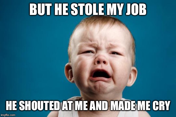 BABY CRYING | BUT HE STOLE MY JOB; HE SHOUTED AT ME AND MADE ME CRY | image tagged in baby crying | made w/ Imgflip meme maker
