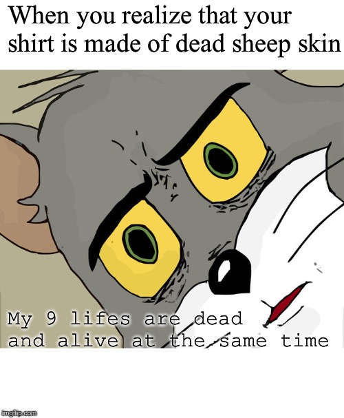 Unsettled Tom | When you realize that your shirt is made of dead sheep skin; My 9 lifes are dead and alive at the same time | image tagged in memes,unsettled tom | made w/ Imgflip meme maker