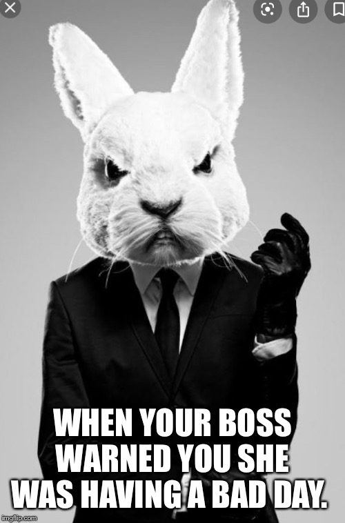 WHEN YOUR BOSS WARNED YOU SHE WAS HAVING A BAD DAY. | image tagged in mad boss,angry boss | made w/ Imgflip meme maker