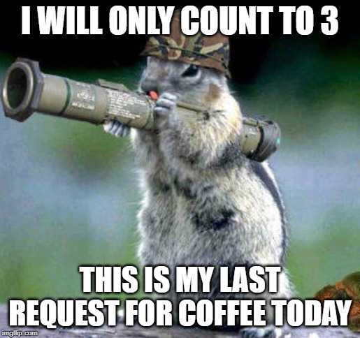 Bazooka Squirrel Meme | I WILL ONLY COUNT TO 3; THIS IS MY LAST REQUEST FOR COFFEE TODAY | image tagged in memes,bazooka squirrel | made w/ Imgflip meme maker