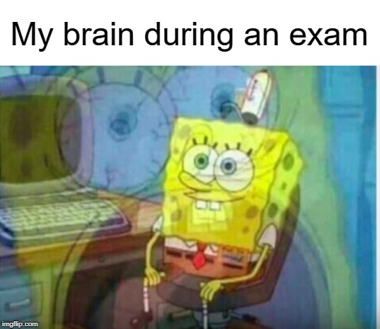 Internal suffering | My brain during an exam | image tagged in ahhhhh,funny,memes,exams,brain,suffering | made w/ Imgflip meme maker