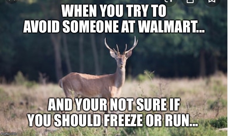 WHEN YOU TRY TO AVOID SOMEONE AT WALMART... AND YOUR NOT SURE IF YOU SHOULD FREEZE OR RUN... | image tagged in avoid someone,avoid a client,avoid someone at the store,try to hide,run from them | made w/ Imgflip meme maker