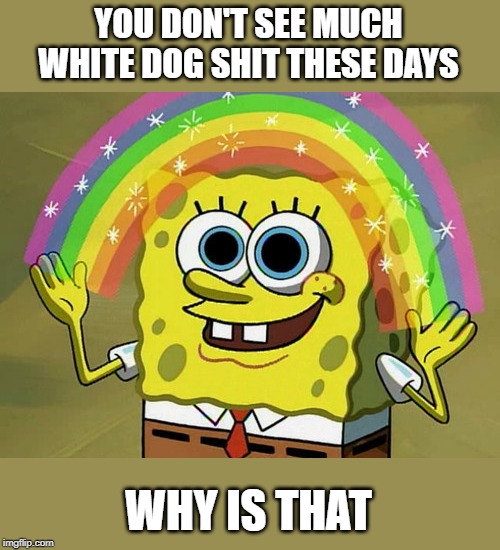 Imagination Spongebob Meme | YOU DON'T SEE MUCH WHITE DOG SHIT THESE DAYS WHY IS THAT | image tagged in memes,imagination spongebob | made w/ Imgflip meme maker