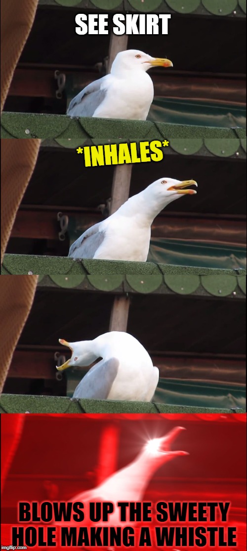 Inhaling Seagull Meme | SEE SKIRT *INHALES* BLOWS UP THE SWEETY HOLE MAKING A WHISTLE | image tagged in memes,inhaling seagull | made w/ Imgflip meme maker