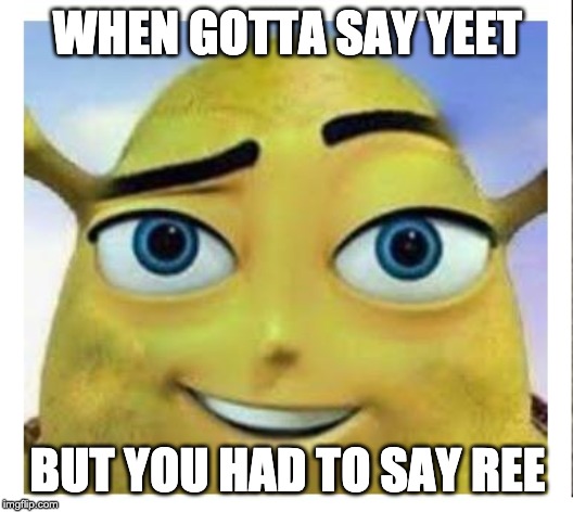 barry b shrekson | WHEN GOTTA SAY YEET BUT YOU HAD TO SAY REE | image tagged in barry b shrekson | made w/ Imgflip meme maker