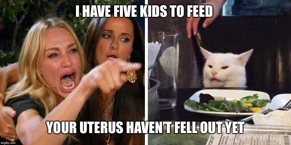 Smudge the cat | I HAVE FIVE KIDS TO FEED; YOUR UTERUS HAVEN’T FELL OUT YET | image tagged in smudge the cat | made w/ Imgflip meme maker