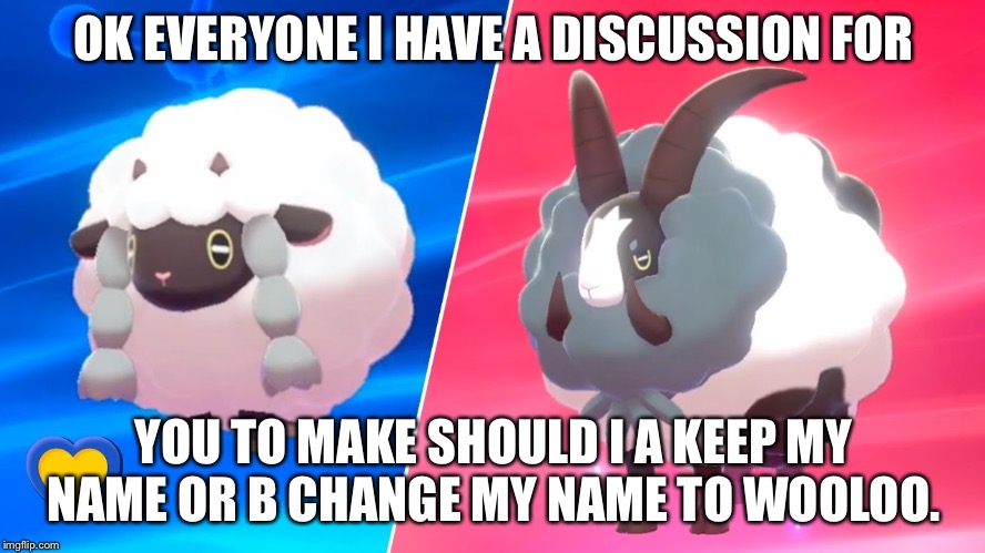 Or Dubwool sorry | OK EVERYONE I HAVE A DISCUSSION FOR; YOU TO MAKE SHOULD I A KEEP MY NAME OR B CHANGE MY NAME TO WOOLOO. | image tagged in wooloo,dubwool,pokemon | made w/ Imgflip meme maker