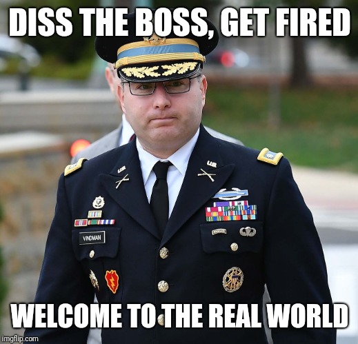 LTC Alexander Vindman | DISS THE BOSS, GET FIRED; WELCOME TO THE REAL WORLD | image tagged in ltc alexander vindman | made w/ Imgflip meme maker