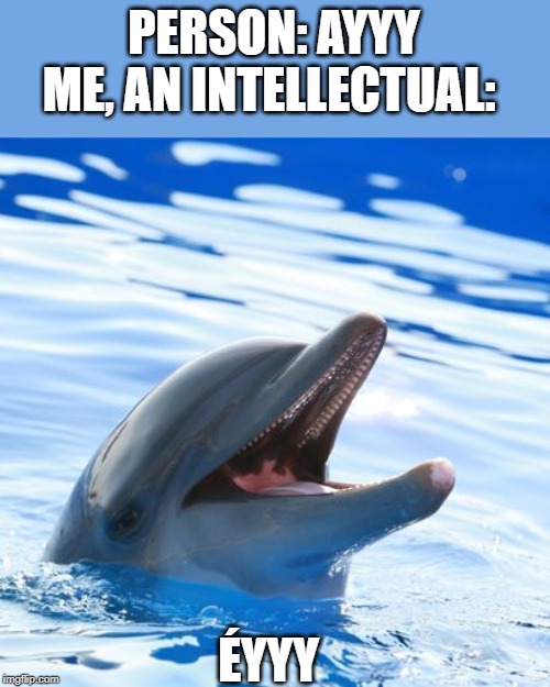 dolphin ayy lmao | PERSON: AYYY
ME, AN INTELLECTUAL:; ÉYYY | image tagged in dolphin ayy lmao | made w/ Imgflip meme maker