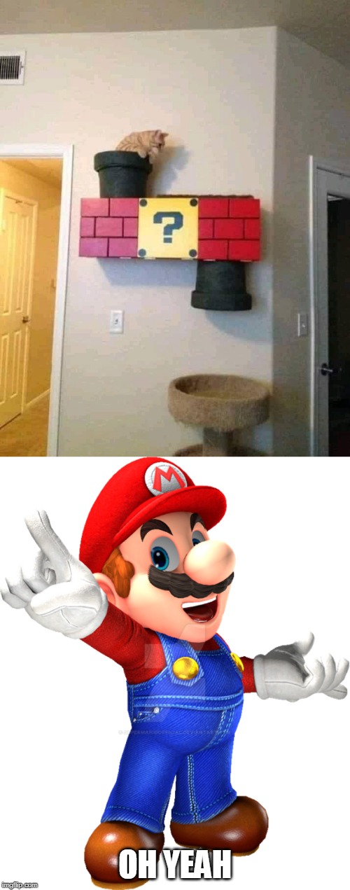OH YEAH | image tagged in memes,gaming,cats,super mario | made w/ Imgflip meme maker