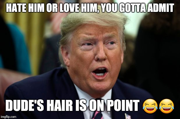  HATE HIM OR LOVE HIM, YOU GOTTA ADMIT; DUDE'S HAIR IS ON POINT 😂😂 | image tagged in donald trump | made w/ Imgflip meme maker