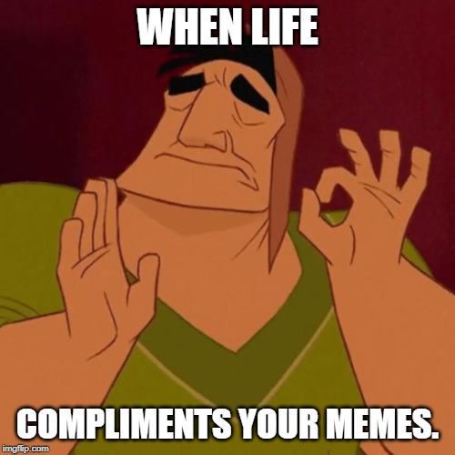 Pacha perfect | WHEN LIFE; COMPLIMENTS YOUR MEMES. | image tagged in pacha perfect | made w/ Imgflip meme maker