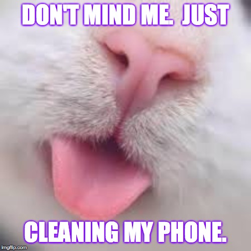 In fact, why don't you put yours down for a while? | DON'T MIND ME.  JUST; CLEANING MY PHONE. | image tagged in memes,tidy cat,good phone hygiene | made w/ Imgflip meme maker