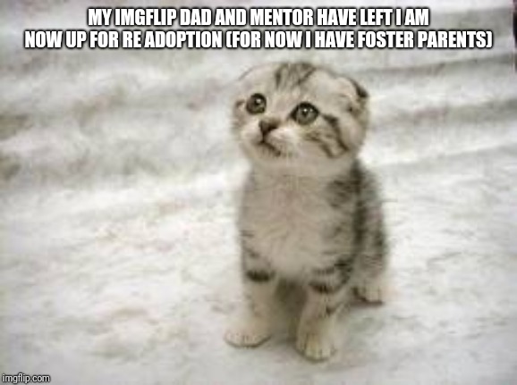 Sad Cat Meme | MY IMGFLIP DAD AND MENTOR HAVE LEFT I AM NOW UP FOR RE ADOPTION (FOR NOW I HAVE FOSTER PARENTS) | image tagged in memes,sad cat | made w/ Imgflip meme maker