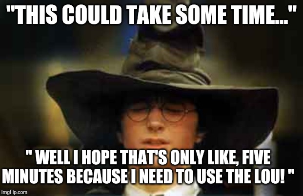 Harry Potter sorting hat | "THIS COULD TAKE SOME TIME..."; " WELL I HOPE THAT'S ONLY LIKE, FIVE MINUTES BECAUSE I NEED TO USE THE LOU! " | image tagged in harry potter sorting hat | made w/ Imgflip meme maker