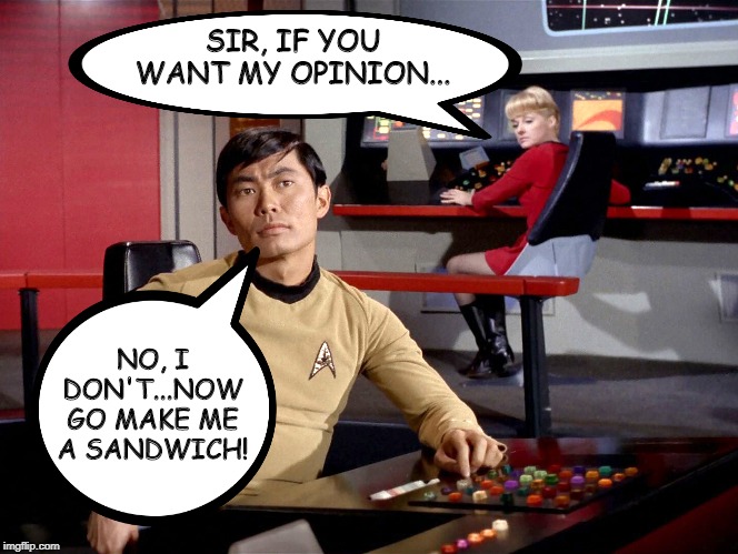 Salty Sulu | SIR, IF YOU WANT MY OPINION... NO, I DON'T...NOW GO MAKE ME A SANDWICH! | image tagged in sulu | made w/ Imgflip meme maker