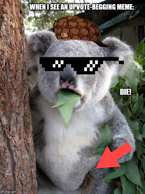 Surprised Koala | WHEN I SEE AN UPVOTE-BEGGING MEME:; DIE! | image tagged in memes,surprised koala | made w/ Imgflip meme maker
