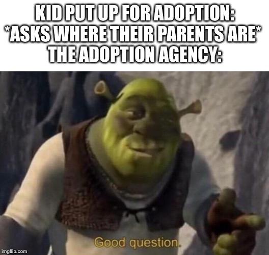 KID PUT UP FOR ADOPTION: *ASKS WHERE THEIR PARENTS ARE* 
THE ADOPTION AGENCY: | image tagged in blank white template,shrek good question | made w/ Imgflip meme maker