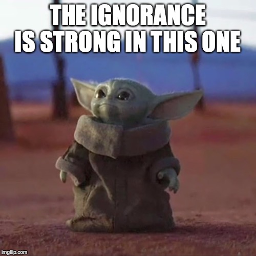 Baby Yoda | THE IGNORANCE IS STRONG IN THIS ONE | image tagged in baby yoda | made w/ Imgflip meme maker