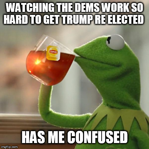 But That's None Of My Business Meme | WATCHING THE DEMS WORK SO HARD TO GET TRUMP RE ELECTED; HAS ME CONFUSED | image tagged in memes,but thats none of my business,kermit the frog | made w/ Imgflip meme maker