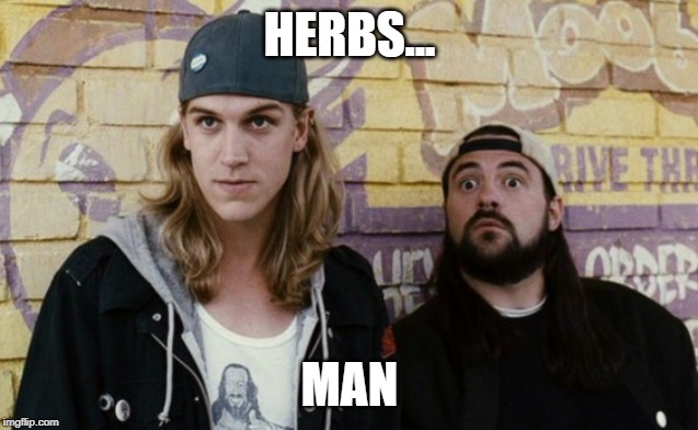 Jay And Silent Bob 1 | HERBS... MAN | image tagged in jay and silent bob 1 | made w/ Imgflip meme maker