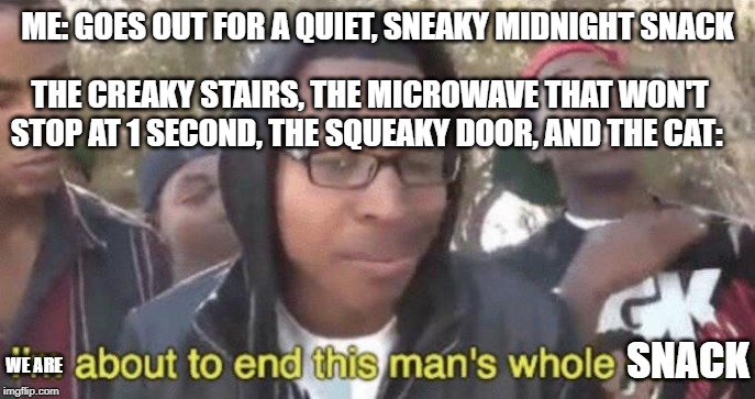 Petition for global mute sound irl | ME: GOES OUT FOR A QUIET, SNEAKY MIDNIGHT SNACK; THE CREAKY STAIRS, THE MICROWAVE THAT WON'T STOP AT 1 SECOND, THE SQUEAKY DOOR, AND THE CAT:; SNACK; WE ARE | image tagged in im about to end this mans whole career | made w/ Imgflip meme maker