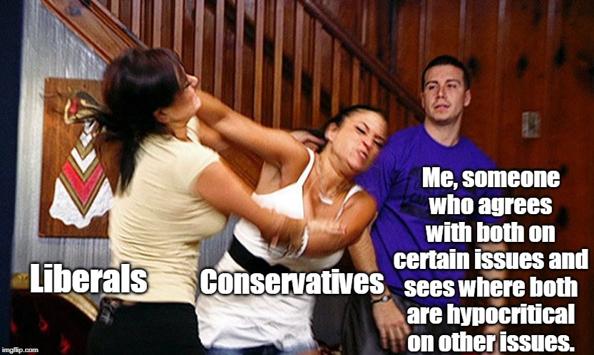 Just let them fight, set back and watch, and every once in a while instigate just for fun. | Me, someone who agrees with both on certain issues and sees where both are hypocritical on other issues. Conservatives; Liberals | image tagged in girls fighting,flame war,arguing,politics,anti-politics,memes | made w/ Imgflip meme maker