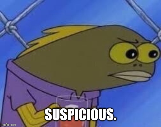 hmmmmmmmm | SUSPICIOUS. | image tagged in hmmmmmmmm | made w/ Imgflip meme maker