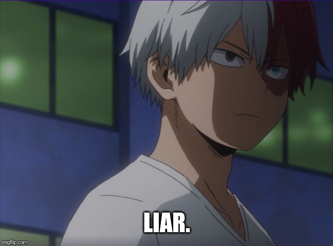 Todoroki to Iida | LIAR. | image tagged in todoroki to iida | made w/ Imgflip meme maker