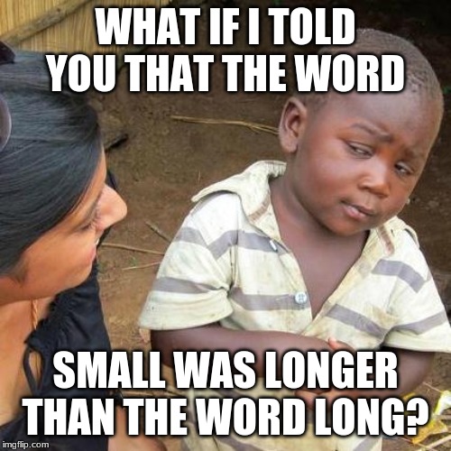 Third World Skeptical Kid Meme | WHAT IF I TOLD YOU THAT THE WORD; SMALL WAS LONGER THAN THE WORD LONG? | image tagged in memes,third world skeptical kid | made w/ Imgflip meme maker