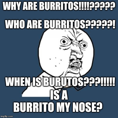 Y U No Meme | WHO ARE BURRITOS?????! WHY ARE BURRITOS!!!!????? WHEN IS BURUTOS???!!!!! IS A BURRITO MY NOSE? | image tagged in memes,y u no | made w/ Imgflip meme maker