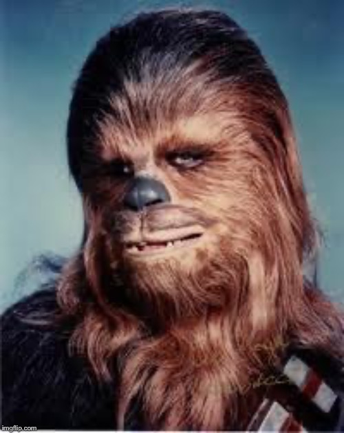 chewbacca | image tagged in chewbacca | made w/ Imgflip meme maker