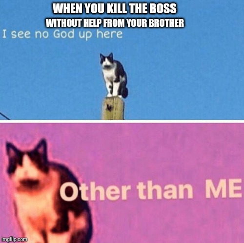 Hail pole cat | WITHOUT HELP FROM YOUR BROTHER; WHEN YOU KILL THE BOSS | image tagged in hail pole cat | made w/ Imgflip meme maker