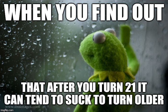 kermit window | WHEN YOU FIND OUT; THAT AFTER YOU TURN 21 IT CAN TEND TO SUCK TO TURN OLDER | image tagged in kermit window,memes | made w/ Imgflip meme maker