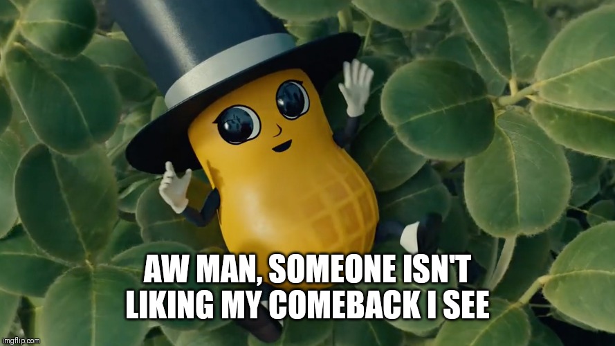 Baby Mr Peanut | AW MAN, SOMEONE ISN'T LIKING MY COMEBACK I SEE | image tagged in baby mr peanut | made w/ Imgflip meme maker