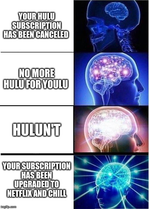 Expanding Brain Meme | YOUR HULU SUBSCRIPTION HAS BEEN CANCELED; NO MORE HULU FOR YOULU; HULUN'T; YOUR SUBSCRIPTION HAS BEEN UPGRADED TO NETFLIX AND CHILL | image tagged in memes,expanding brain | made w/ Imgflip meme maker