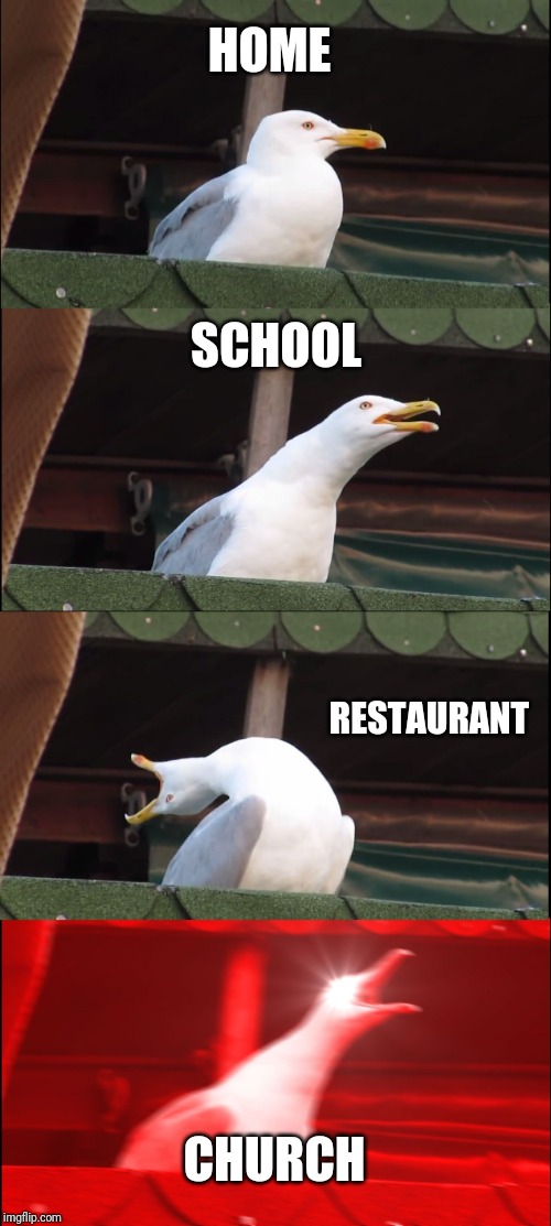 Inhaling Seagull | HOME; SCHOOL; RESTAURANT; CHURCH | image tagged in memes,inhaling seagull | made w/ Imgflip meme maker