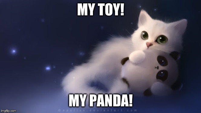 MY TOY! MY PANDA! | image tagged in toy,kitten,white,panda,cute,adorable | made w/ Imgflip meme maker