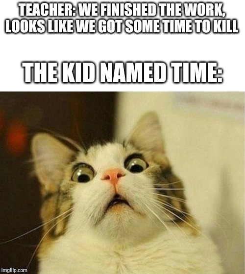 Scared Cat Meme | TEACHER: WE FINISHED THE WORK, LOOKS LIKE WE GOT SOME TIME TO KILL; THE KID NAMED TIME: | image tagged in memes,scared cat | made w/ Imgflip meme maker