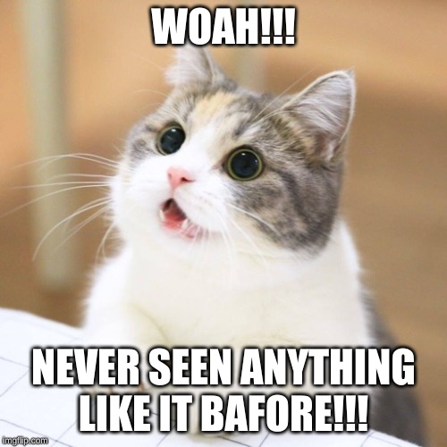WOAH!!! NEVER SEEN ANYTHING LIKE IT BAFORE!!! | image tagged in cute,kitty,woah | made w/ Imgflip meme maker