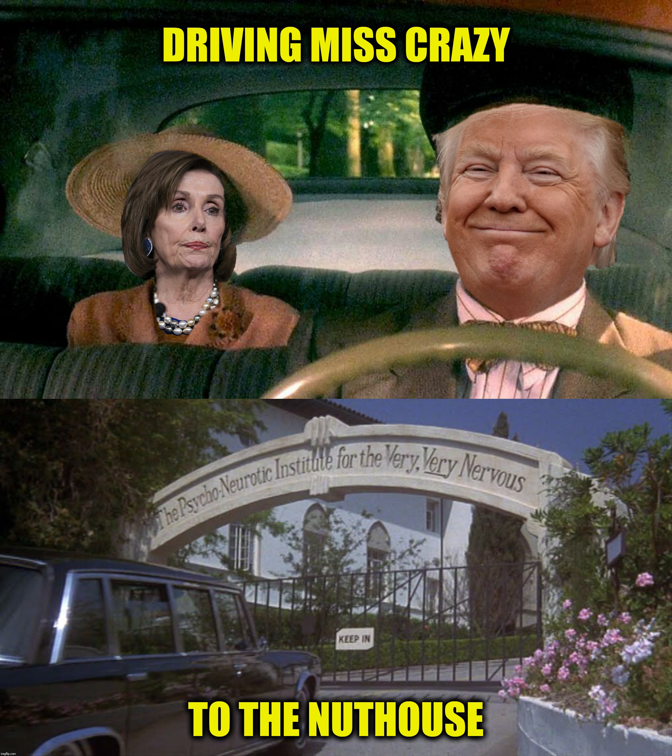 Bad Photoshop Sunday presents:  Driving Miss Crazy insane | DRIVING MISS CRAZY; TO THE NUTHOUSE | image tagged in bad photoshop sunday,donald trump,nancy pelosi,driving miss daisy | made w/ Imgflip meme maker