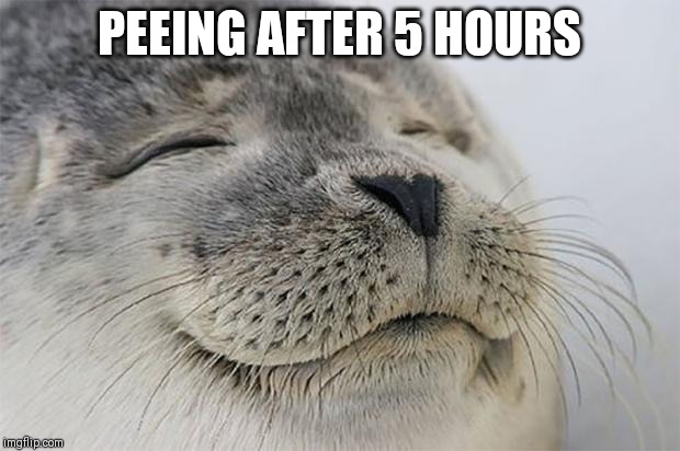 Satisfied Seal | PEEING AFTER 5 HOURS | image tagged in memes,satisfied seal | made w/ Imgflip meme maker