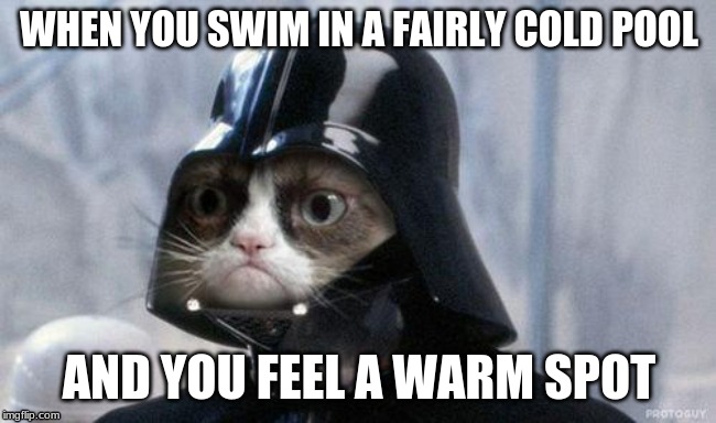 Grumpy Cat Star Wars Meme | WHEN YOU SWIM IN A FAIRLY COLD POOL; AND YOU FEEL A WARM SPOT | image tagged in memes,grumpy cat star wars,grumpy cat | made w/ Imgflip meme maker