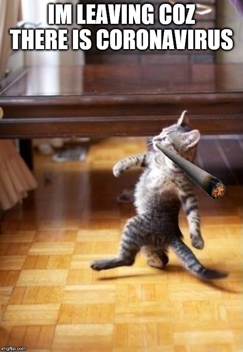 Cool Cat Stroll |  IM LEAVING COZ THERE IS CORONAVIRUS | image tagged in memes,cool cat stroll | made w/ Imgflip meme maker