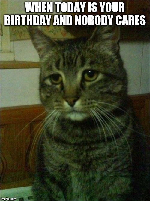 Depressed Cat |  WHEN TODAY IS YOUR BIRTHDAY AND NOBODY CARES | image tagged in memes,depressed cat | made w/ Imgflip meme maker