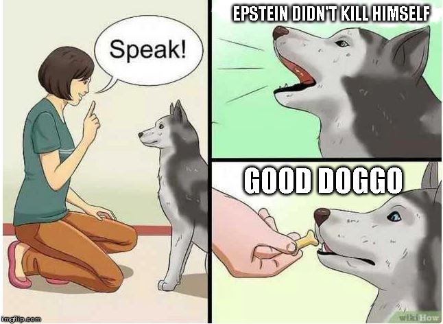 Speak Doggo | EPSTEIN DIDN'T KILL HIMSELF; GOOD DOGGO | image tagged in doggos,epstein | made w/ Imgflip meme maker