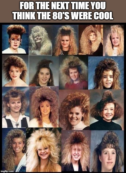 the cool 80's | FOR THE NEXT TIME YOU THINK THE 80'S WERE COOL | image tagged in eighties,hairdos,oldschool | made w/ Imgflip meme maker