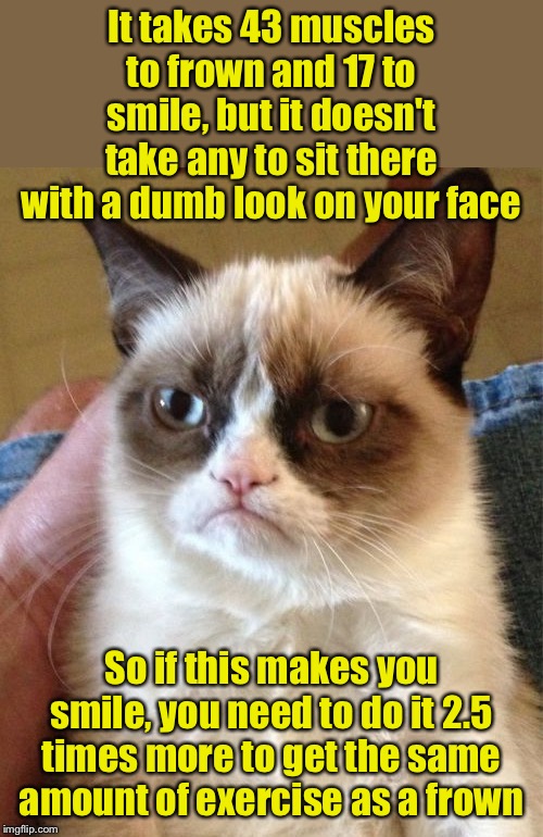 Grumpy Cat’s efficient exercise routine | It takes 43 muscles to frown and 17 to smile, but it doesn't take any to sit there with a dumb look on your face; So if this makes you smile, you need to do it 2.5 times more to get the same amount of exercise as a frown | image tagged in memes,grumpy cat,smile,frown,excercise | made w/ Imgflip meme maker
