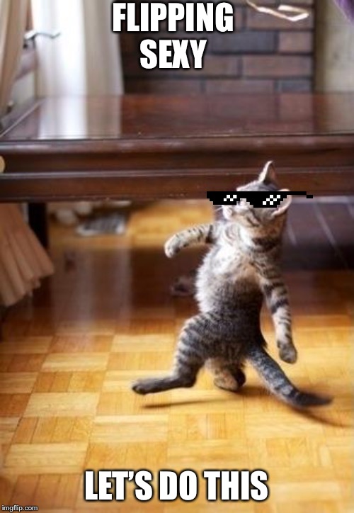 Cool Cat Stroll | FLIPPING SEXY; LET’S DO THIS | image tagged in memes,cool cat stroll | made w/ Imgflip meme maker