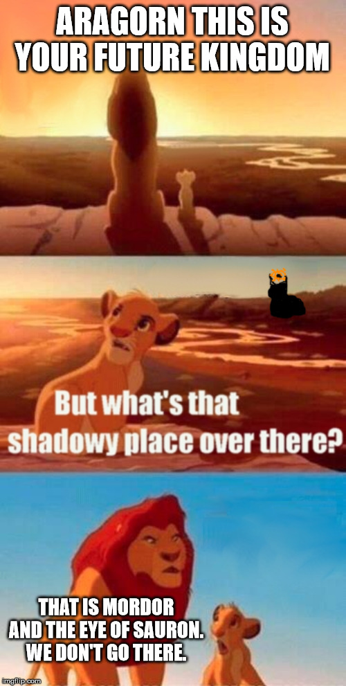 Simba Shadowy Place Meme | ARAGORN THIS IS YOUR FUTURE KINGDOM; THAT IS MORDOR AND THE EYE OF SAURON. WE DON'T GO THERE. | image tagged in memes,simba shadowy place | made w/ Imgflip meme maker